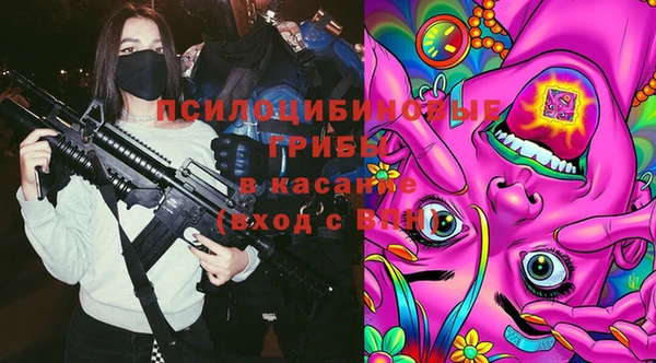 СК Володарск