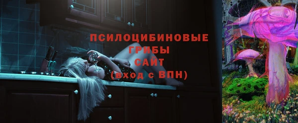СК Володарск